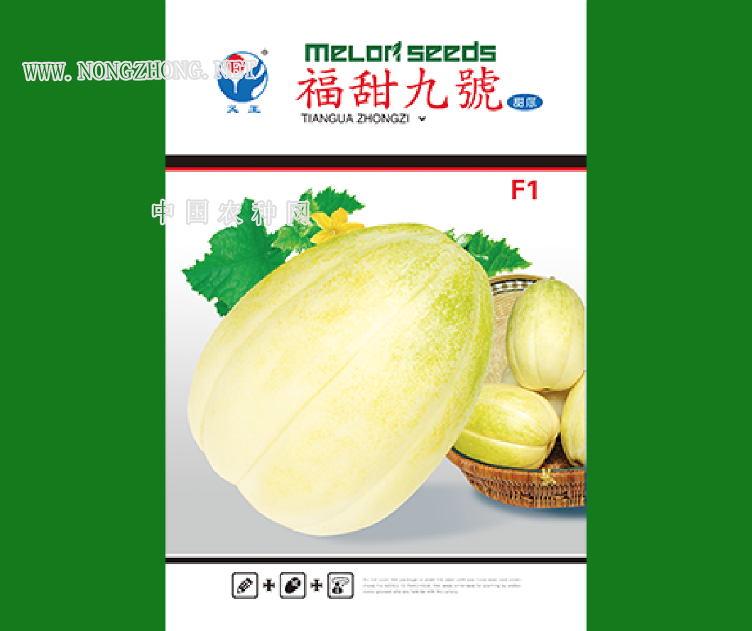 福甜九号